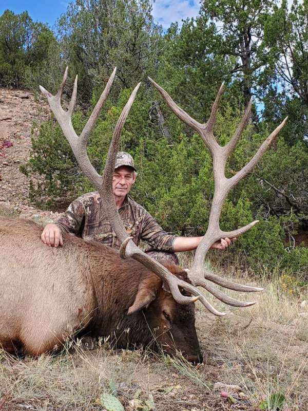 Colorado Elk Hunting | Guided Elk Hunts | Atmore Outfitters